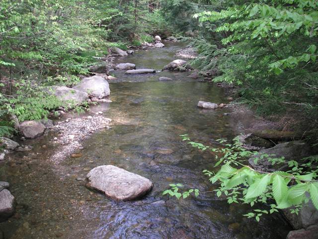 Wilder Brook on the Harriman Trail